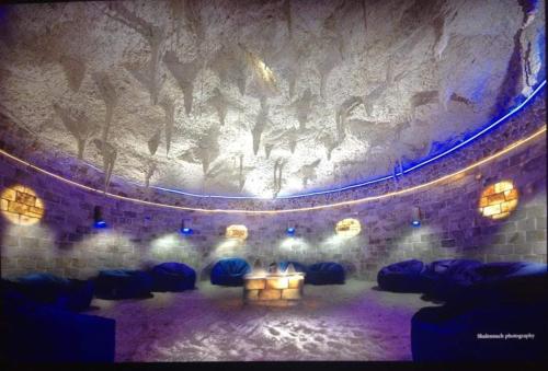 a stage with a painting of animals on the wall at Panta Lodge Siwa بنتا لودج سيوة in Siwa