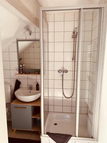 a bathroom with a shower and a sink at KM - Altstadtapartments Freiberg in Freiberg