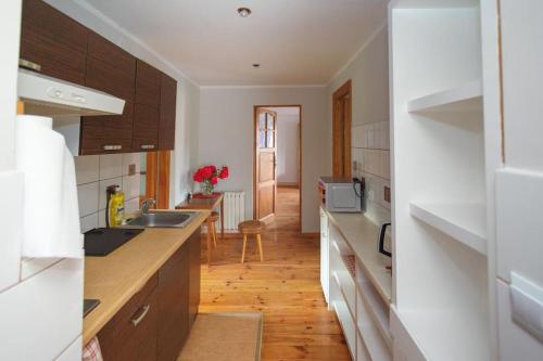 a kitchen with a sink and a counter top at Free Bikes, WiFi, AC, Garden, 2 Beds in Duczki