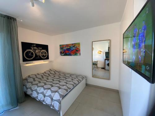 1 dormitorio con 1 cama y TV de pantalla plana en Clair Soleil, en Balaruc-les-Bains