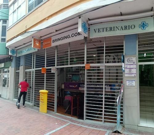 Fotografia z galérie ubytovania Las Canteras Las Puntillas Beach v destinácii Las Palmas de Gran Canaria
