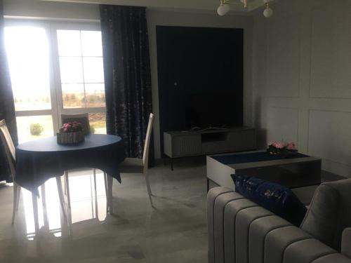 Ruang duduk di Apartament Janów Podlaski