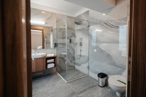 Hotel Ariata في Scheia: حمام مع دش ومرحاض ومغسلة