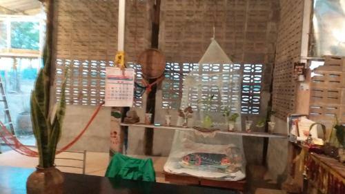 une chambre avec des étagères, des plantes et d'autres articles dans l'établissement Uma farm, à Nong Khai