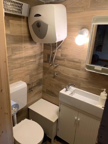 a small bathroom with a toilet and a sink at Holiday Home Jela in Gospić