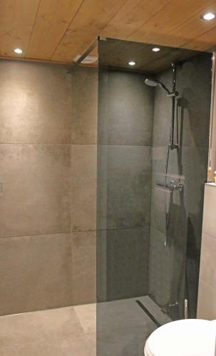 a shower with a glass door in a bathroom at Vrijstaand vakantiehuis Weideblik in Biezenmortel
