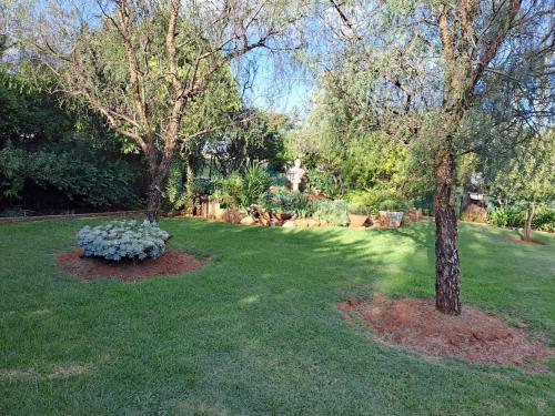 a garden with two trees and a bench in the grass at Midvaal Guesthouse in Meyerton