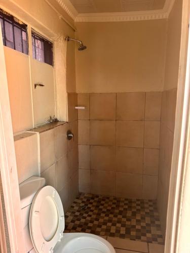 a bathroom with a toilet and a shower at L-PACK PRIMROSe in Germiston