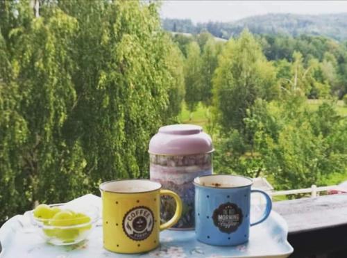 two cups of coffee on a table with a view at Pensiunea Grădina Ascunsa in Bughea de Jos