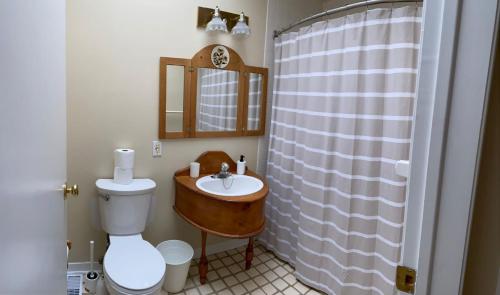 a bathroom with a toilet and a sink and a shower at Waterfront Cottage 4 BD with Outdoor Dining, Fire Pite by GLOBALSTAY in Brechin