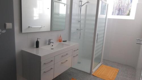 uma casa de banho com um lavatório e um chuveiro com um espelho. em Gîte le Marmare em Caussou