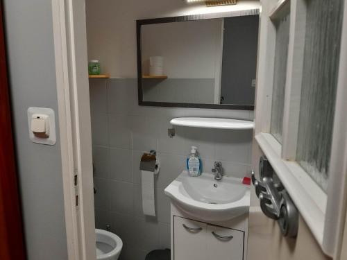 a bathroom with a sink and a mirror and a toilet at Willa Dniestrzanka in Krynica Zdrój