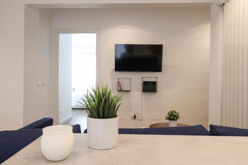 Ziani 5 Rome Vatican Apartment
