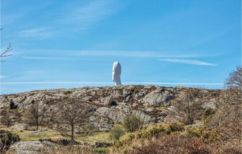 a bird sitting on top of a rocky mountain at Nice Home In Långekärr With Kitchen in Klövedal