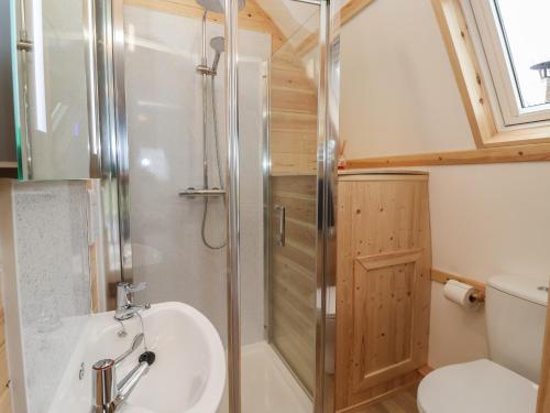 a bathroom with a shower and a sink and a toilet at Husk in Harpham