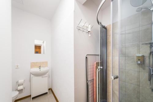 La salle de bains est pourvue d'une douche, de toilettes et d'un lavabo. dans l'établissement JM Rooms Lubicz II, à Cracovie