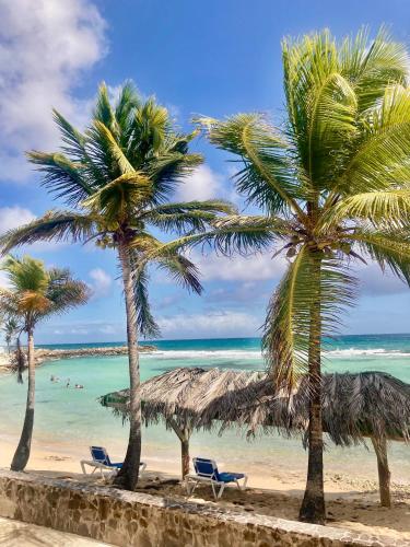 a beach with palm trees and chairs and the ocean at Ti-Colibris in Saint-François