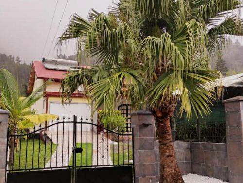 a palm tree in front of a gate with a house at Charmante maison au cœur des 3 montagnes in Salazie
