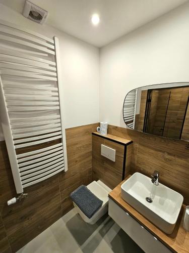 a bathroom with a sink and a mirror at Ustroń51 in Ustroń