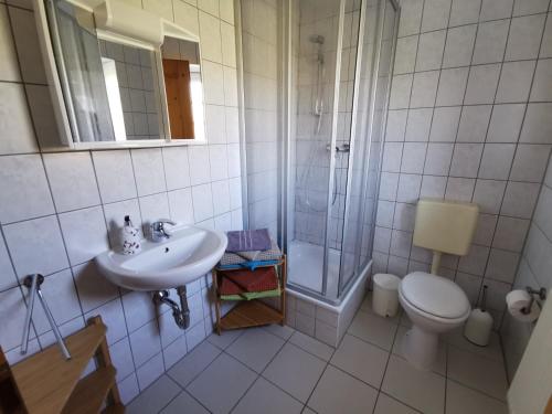 a bathroom with a sink and a shower and a toilet at Ferienhof Rausch in Rathenow