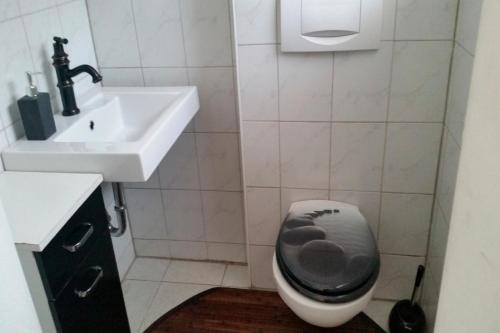ein Bad mit einem WC und einem Waschbecken in der Unterkunft Haus in Malchow in Malchow