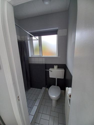 a small bathroom with a toilet and a window at Eva Lodge in Tralee