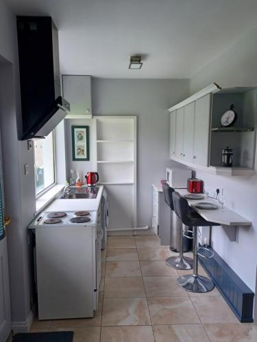 a small kitchen with a stove and a sink at Eva Lodge in Tralee