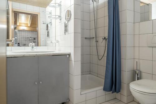 La salle de bains est pourvue d'une douche, de toilettes et d'un lavabo. dans l'établissement Ambiente B21, à Bettmeralp