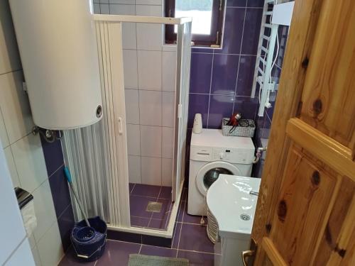 mała łazienka z pralką i toaletą w obiekcie Milijin konak w mieście Zaovine