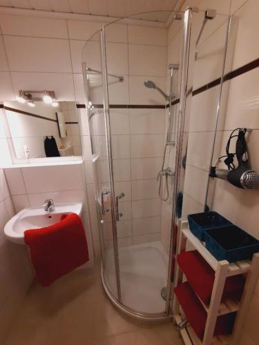 a bathroom with a shower and a sink at Marina View in Burgtiefe auf Fehmarn 
