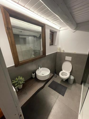 a bathroom with a toilet and a sink and a mirror at Cabana din Groapa Frumoasa in Râşnov