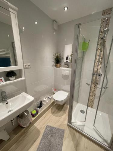 a bathroom with a shower and a toilet and a sink at Südstrand Perle in Burgtiefe auf Fehmarn 