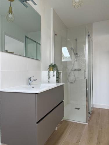 a white bathroom with a sink and a shower at Cœur de Loire in Pocé-sur-Cisse