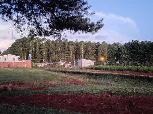 una vista de un campo con árboles en el fondo en La cabaña forestal - 3000 m2 en Garuhapé