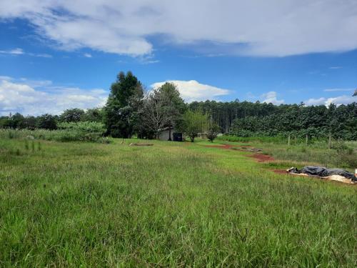 un champ d'herbe avec une maison au loin dans l'établissement La cabaña forestal - 3000 m2, à Garuhapé