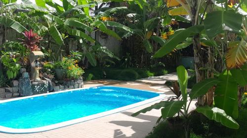 a swimming pool in a garden with plants at Pousada Rainha das Águas in Ilhéus