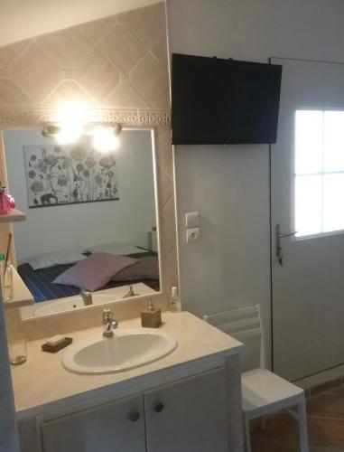 une salle de bain avec un lavabo et un miroir dans l'établissement UNE CHAMBRE EN VILLE, à LʼIsle-sur-la-Sorgue