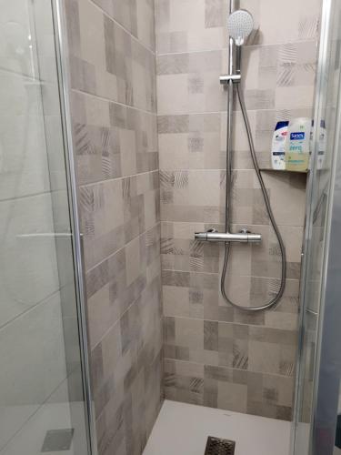 W łazience znajduje się prysznic ze szklanymi drzwiami. w obiekcie T2 situation exceptionnelle sur le port ostréicole d'Andernos w mieście Andernos-les-Bains