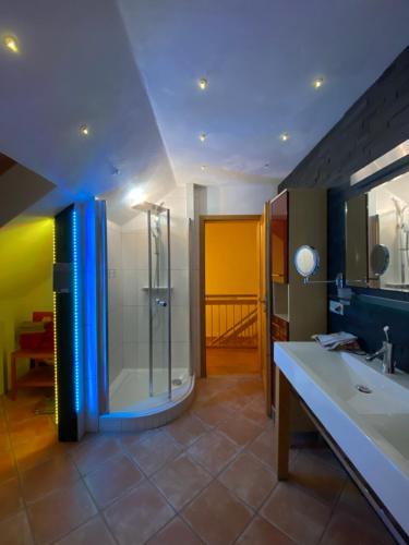 a bathroom with a shower and a sink at Eifel-Ferienhaus Lavendel in Simmerath