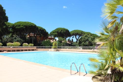 - une piscine bordée d'un palmier dans l'établissement Le Zodiaque 20m2 piscine, à Hyères