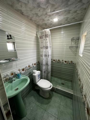 a bathroom with a toilet and a sink at Aygut Guest House in Aygut