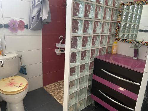 ein Badezimmer mit einem WC und einem Waschbecken mit Glasregalen in der Unterkunft Location vacances sur morne ventilé avec vue mer en Martinique in Le Robert