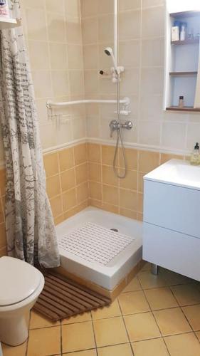 une salle de bain avec douche et toilettes dans l'établissement Appartement de 50m2, climatisé avec terrasse et parking, à Castelnau-le-Lez