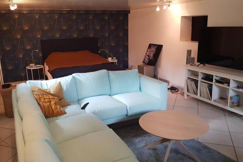 un salon avec un canapé et un lit dans l'établissement Appartement de 50m2, climatisé avec terrasse et parking, à Castelnau-le-Lez