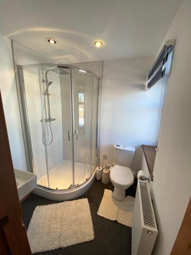 a bathroom with a shower and a toilet at Ben View Aberlour Luxury Barn Conversion in Aberlour