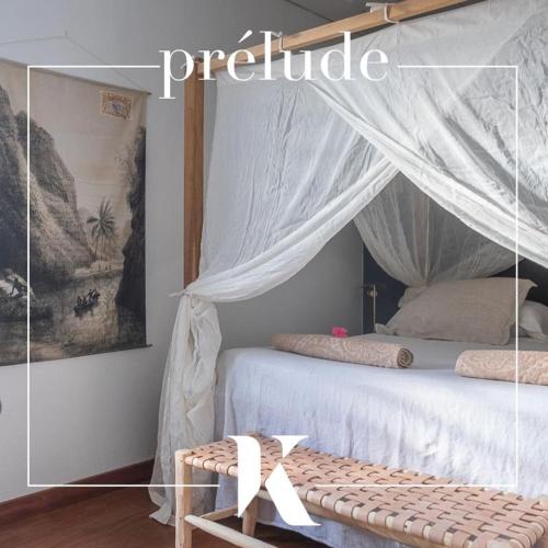 a bedroom with a bed with a mosquito net at La Kazaka Terre Sainte in Saint-Pierre