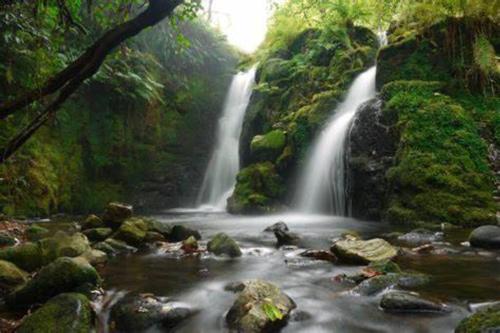 a waterfall in the middle of a river in a forest at Hound Tor Barn Dartmoor in Manaton