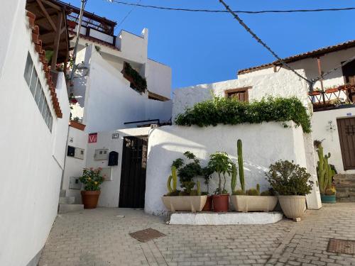 a white building with potted plants on the side of it at Casa Rural in Fataga in San Bartolomé