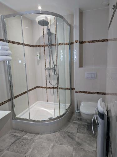 a bathroom with a shower and a toilet at HOTEL ARVERNA VICHY - ClT'HOTEL in Vichy