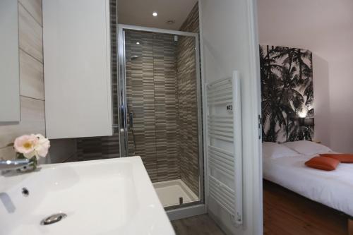 ein Bad mit einer Dusche, einem Bett und einem Waschbecken in der Unterkunft Maison Le Lodge- Centre Doué la Fontaine proche zoo in Doué-la-Fontaine